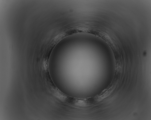 X0000095680285200801151132