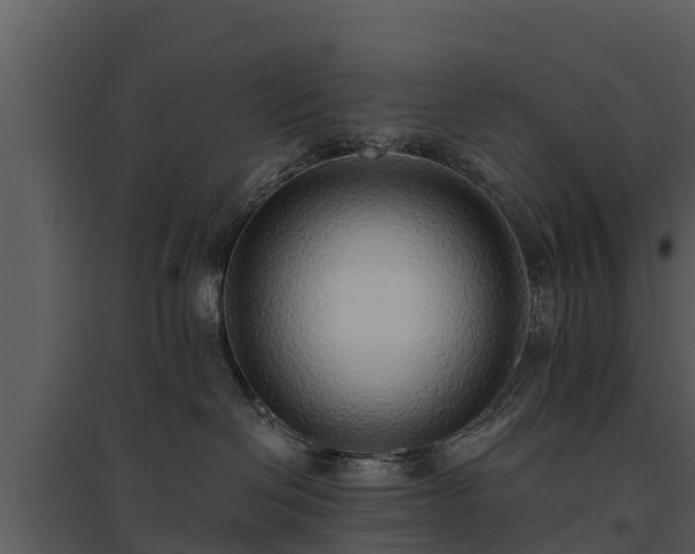 X0000095680286200801151132