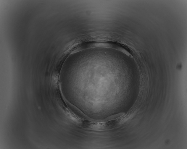 X0000095680288200801151132