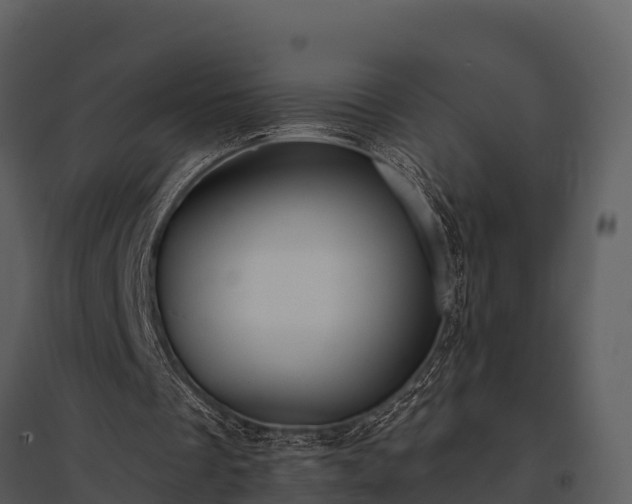 X0000095680289200801151132
