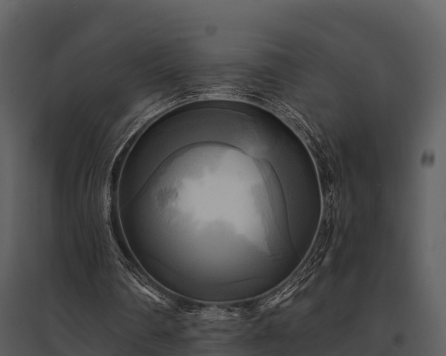 X0000095680290200801151132