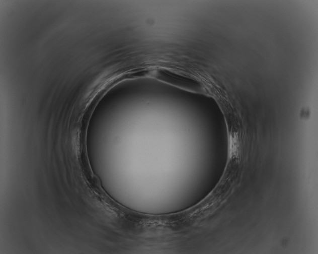 X0000095680291200801151132