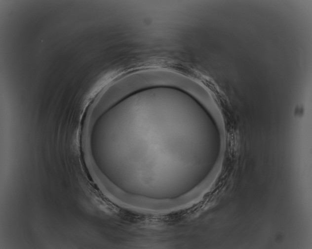 X0000095680292200801151132