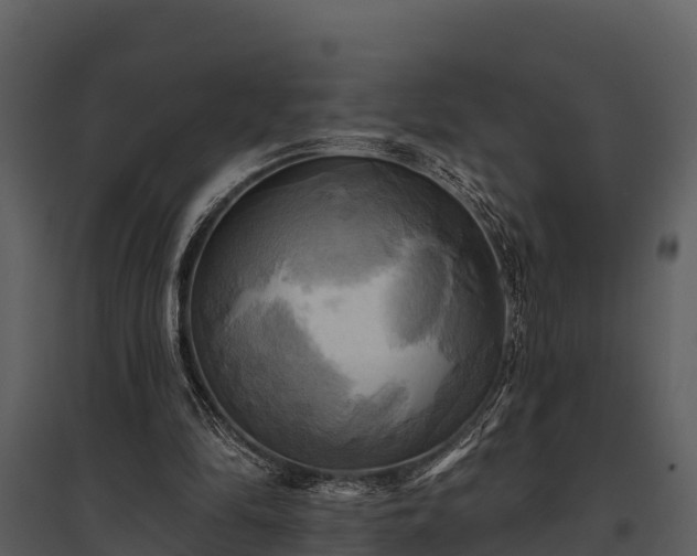X0000095680294200801151132