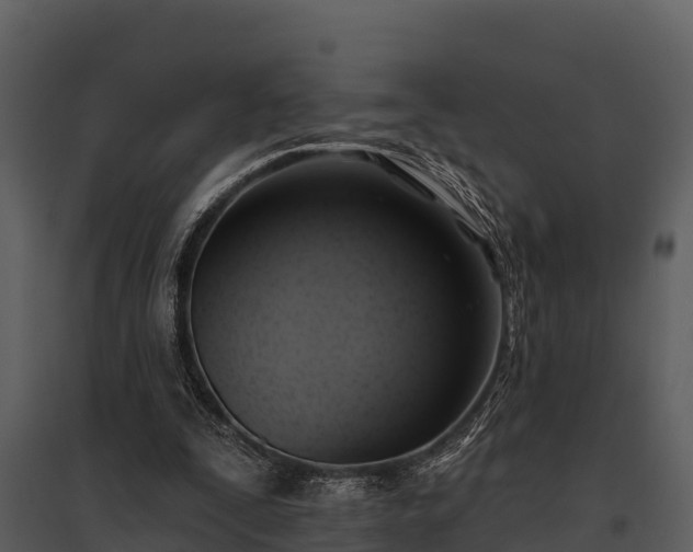 X0000095680295200801151132