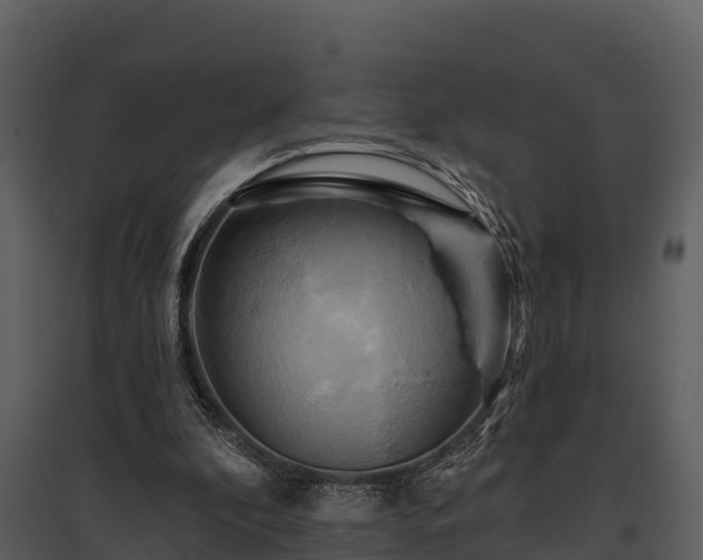X0000095680296200801151132