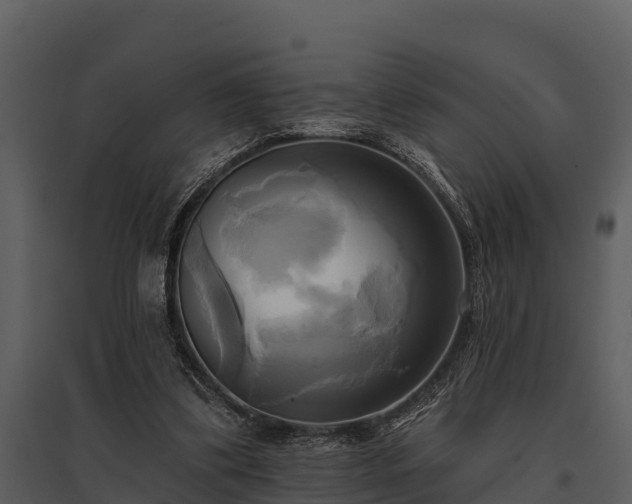 X0000095680299200801151131