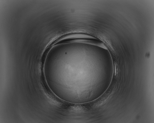 X0000095680300200801151131