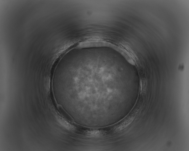 X0000095680301200801151131