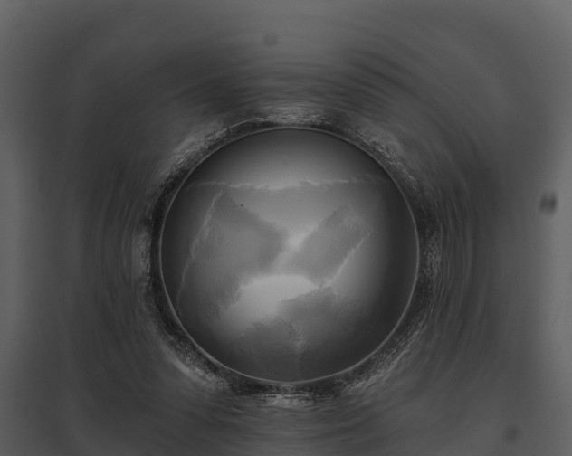X0000095680303200801151131