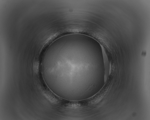 X0000095680304200801151131