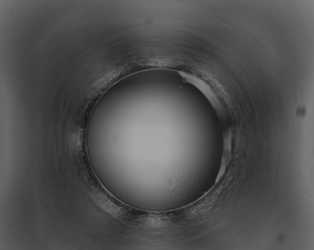 X0000095680305200801151131