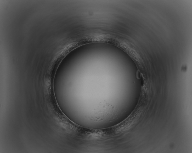 X0000095680306200801151131