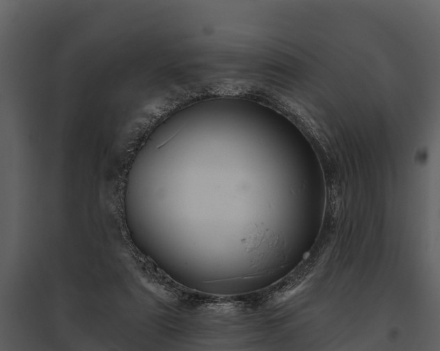 X0000095680307200801151131
