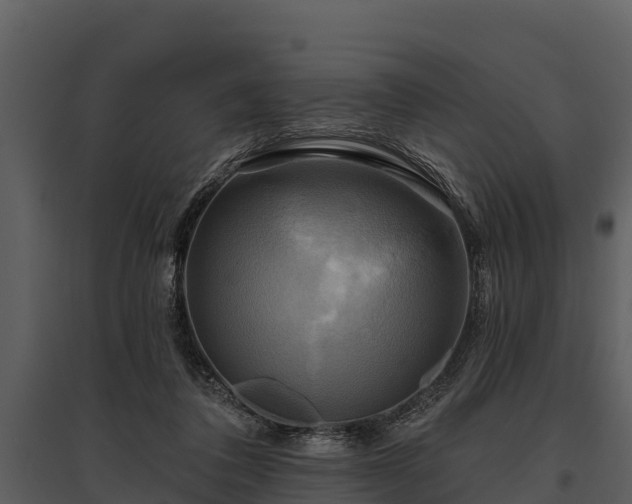 X0000095680308200801151131