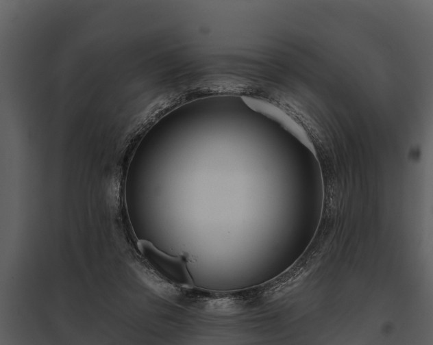 X0000095680309200801151131