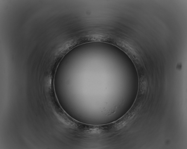 X0000095680310200801151131