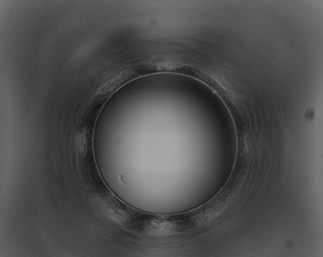 X0000095680311200801151131