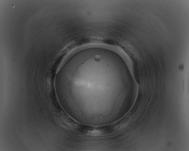 X0000095680312200801151131
