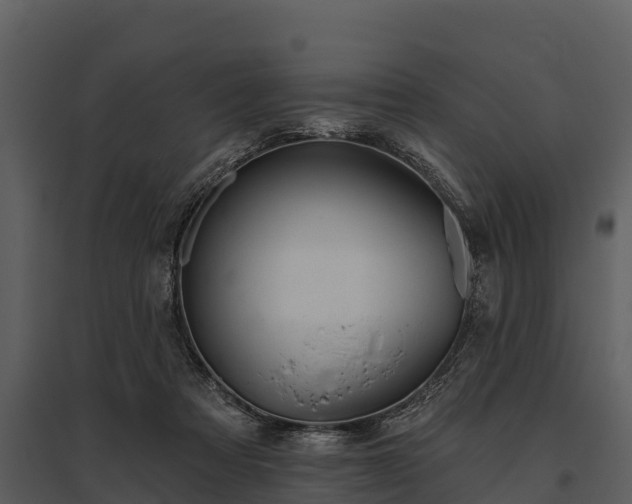X0000095680313200801151131