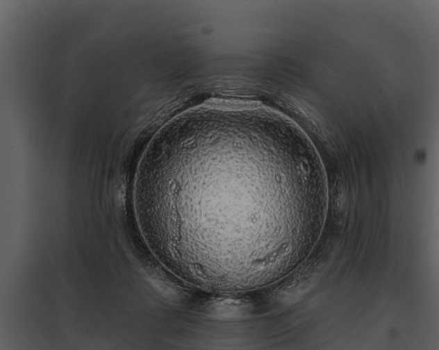 X0000095680315200801151131