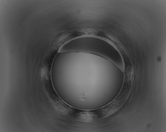 X0000095680316200801151131