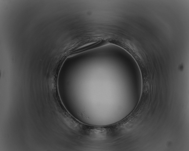 X0000095680317200801151131