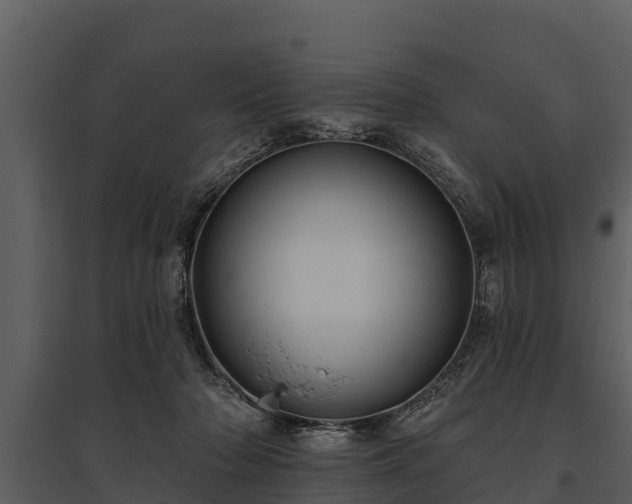 X0000095680318200801151131