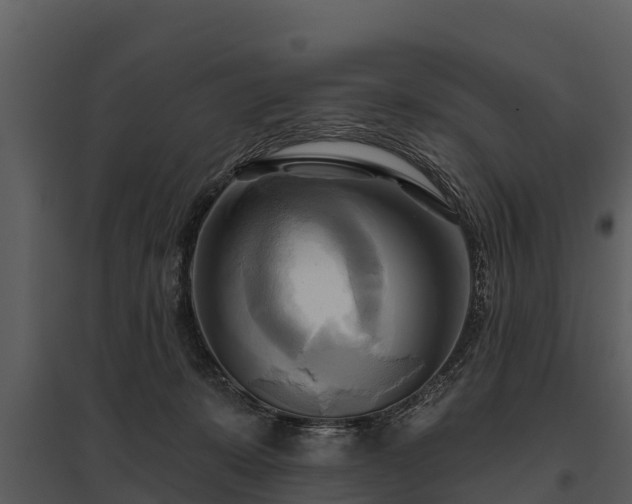 X0000095680319200801151131