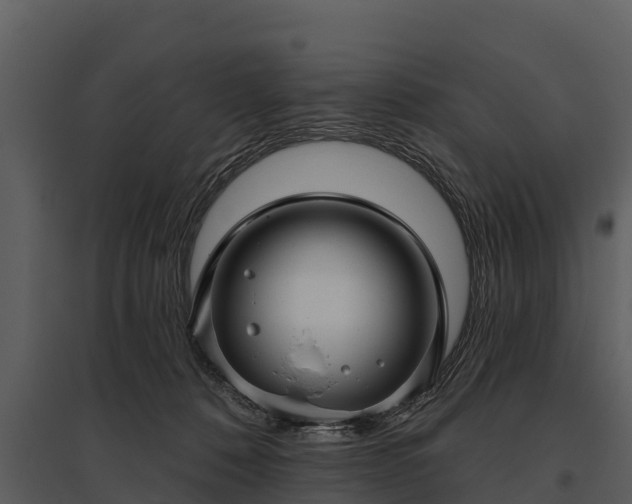 X0000095680320200801151131