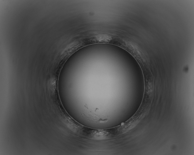 X0000095680321200801151131