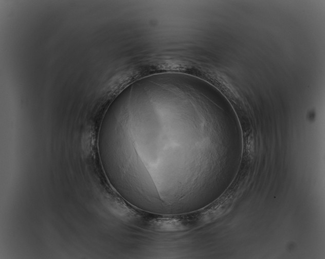 X0000095680322200801151131