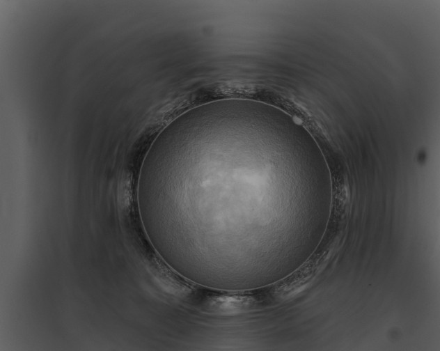 X0000095680323200801151131
