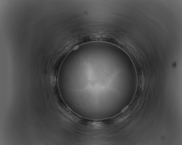 X0000095680324200801151131