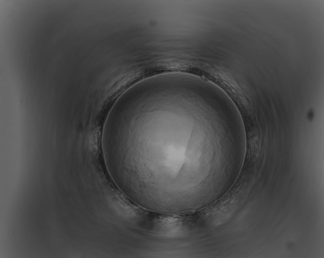 X0000095680325200801151131