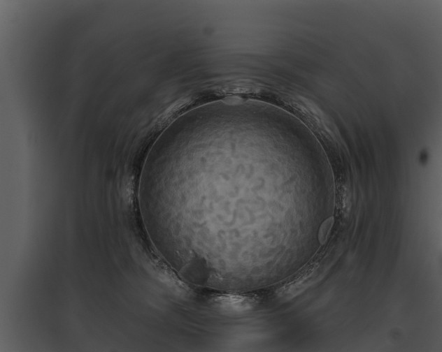 X0000095680326200801151131