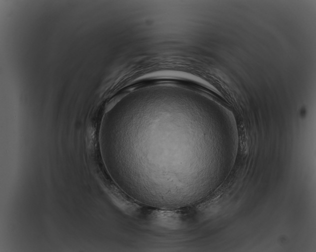 X0000095680327200801151131