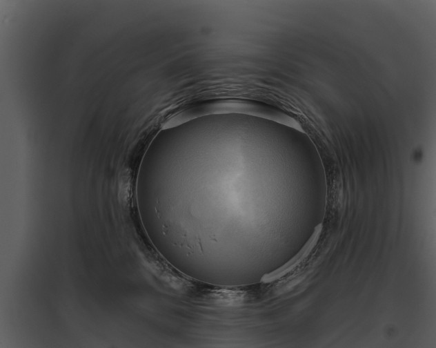 X0000095680328200801151131
