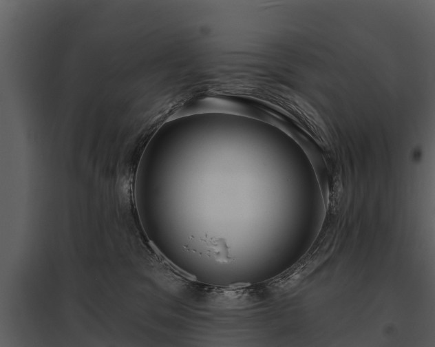 X0000095680329200801151131