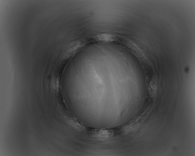 X0000095680330200801151131