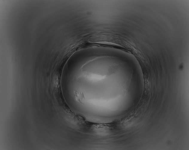 X0000095680331200801151131