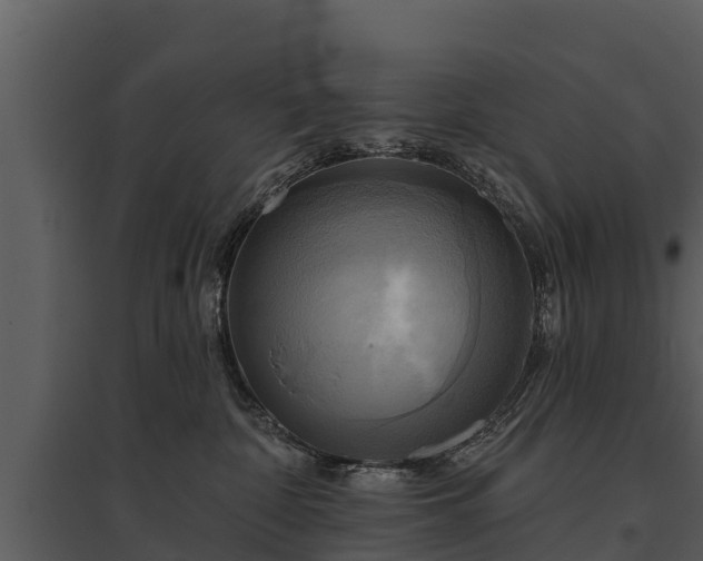 X0000095680332200801151131