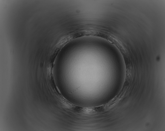 X0000095680333200801151131