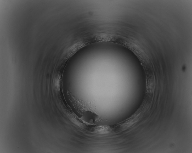 X0000095680334200801151131