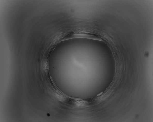 X0000095680336200801151131