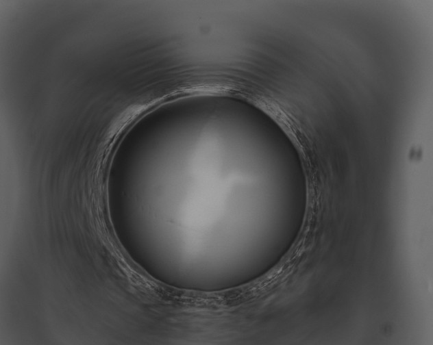 X0000095680337200801151130