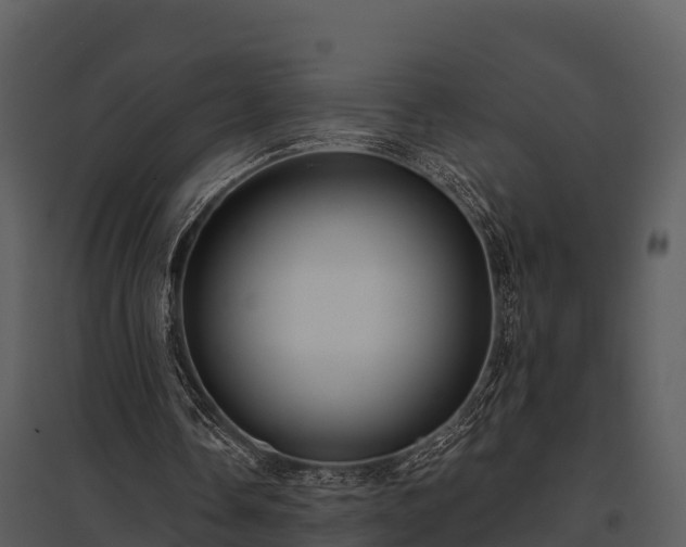 X0000095680338200801151130