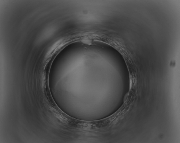 X0000095680339200801151130