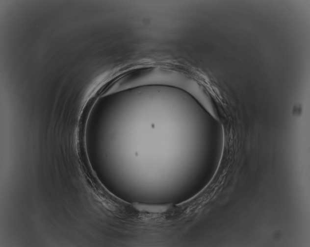 X0000095680340200801151130