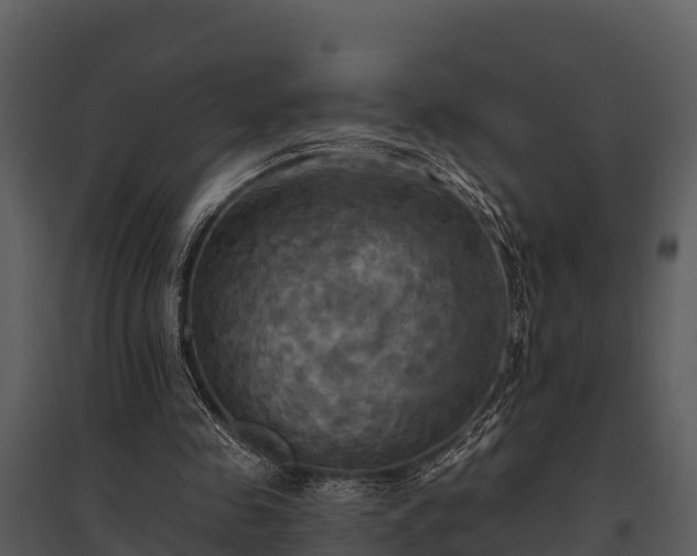 X0000095680341200801151130